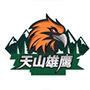 新疆天山雄鷹